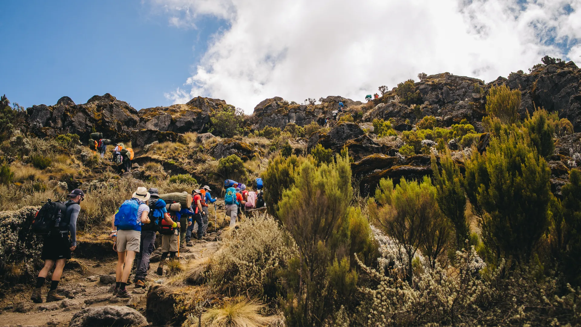 Lemosho Route Kilimanjaro (7-Day Trek + 2 Nights in Arusha)