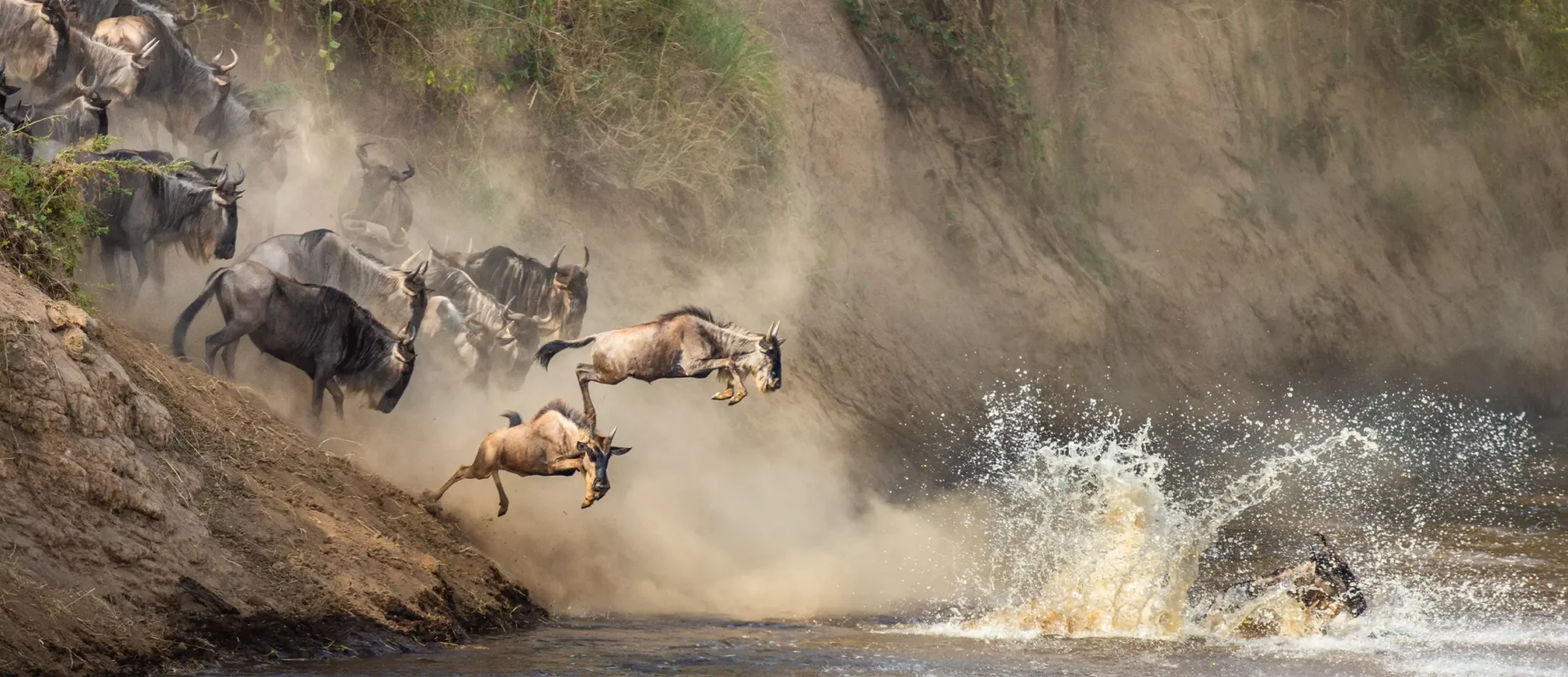 Maasai Mara & Serengeti Great Migration Safari - Banner