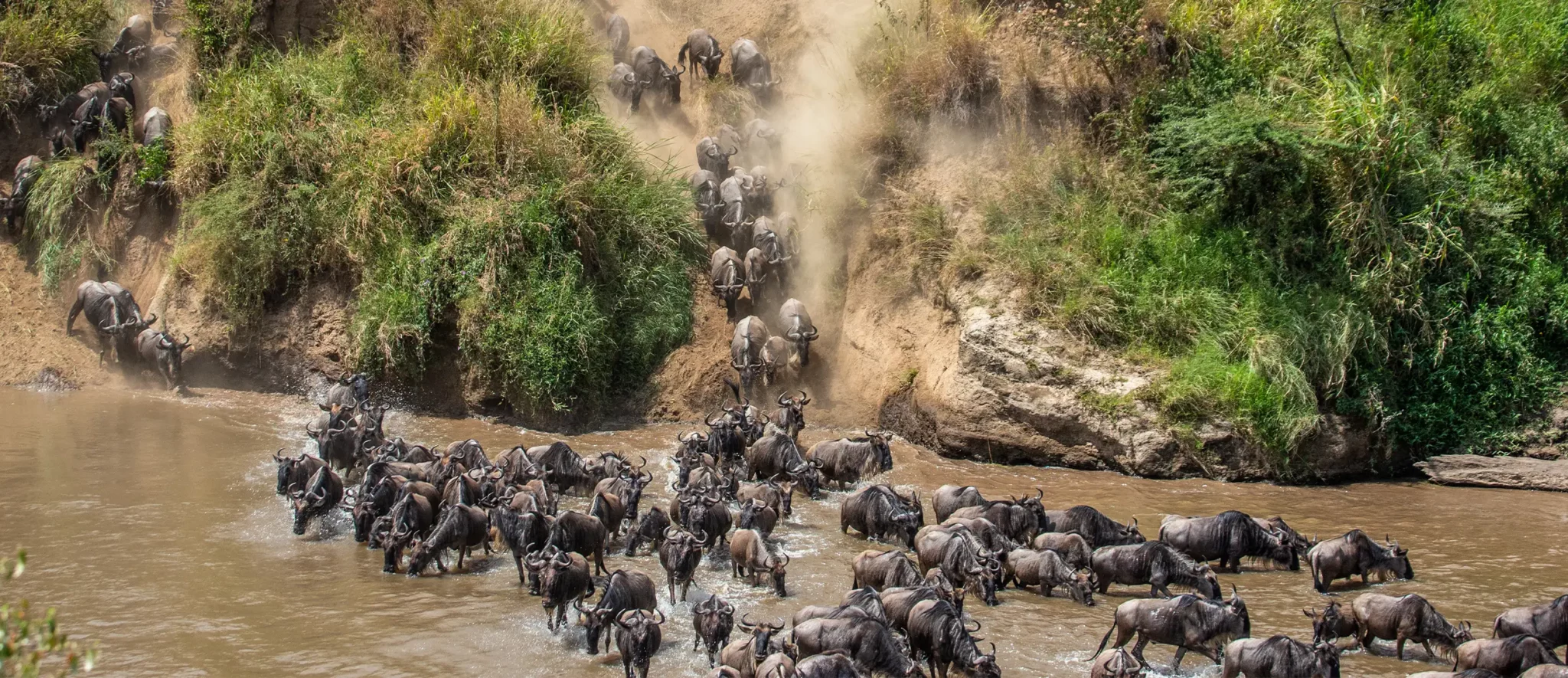 Maasai Mara & Serengeti Great Migration Safari with Zanzibar - Banner