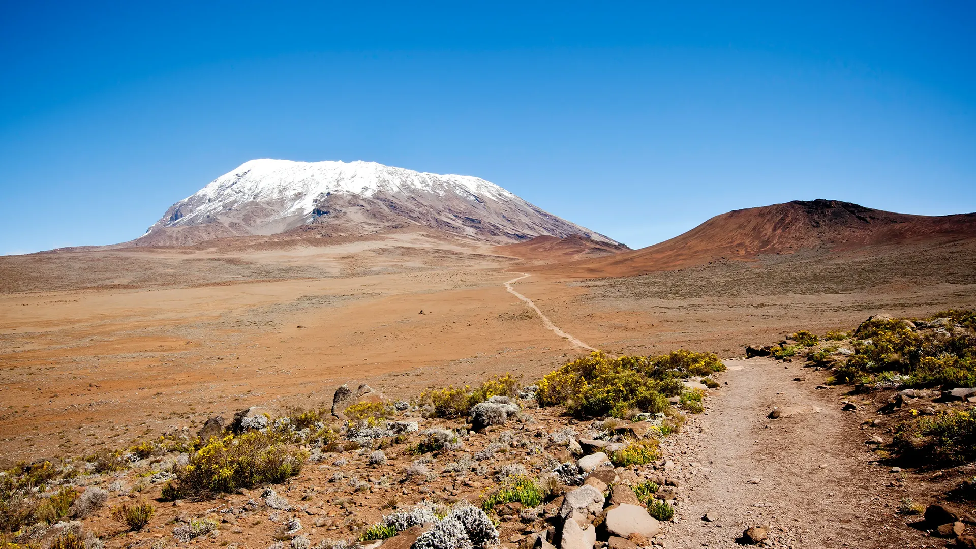A trekking trail leads toward snow-capped Mount Kilimanjaro under a clear blue sky during Machame Route Kilimanjaro climb.