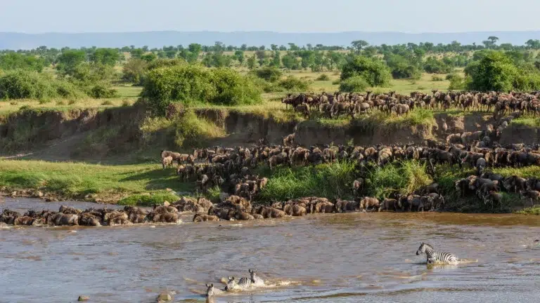 Ngorongoro Crater & Mara River Safari