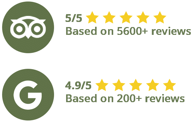 Review Easy Travel Footer Google Review und Tripadvisor Review grün