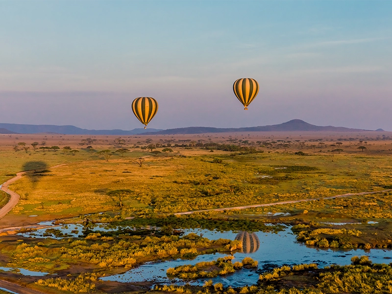 Two hot air balloons with yellow and black stripes floating over the golden Serengeti savanna at sunrise, reflected in a marshy pool.