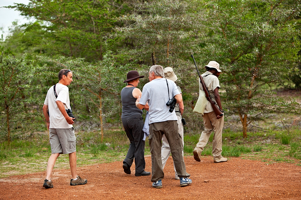 坦桑尼亚塔兰吉雷国家公园徒步游猎 坦桑尼亚塔兰吉雷国家公园徒步游猎