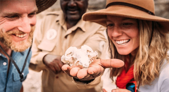 Erleben Sie das Safari-Abenteuer Ihres Lebens: 11 Gründe, Easy Travel als Ihren führenden Safari-Anbieter in Tansania zu wählen