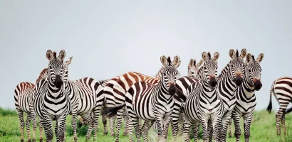 Top-Banner-7.jpg