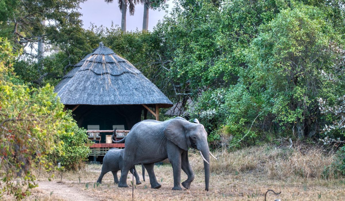 Where to stay in katavi national park - accommodation options